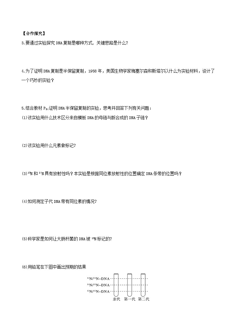 人教版高中生物必修二3.3《DNA的复制》(导学案)(原卷版)第3页