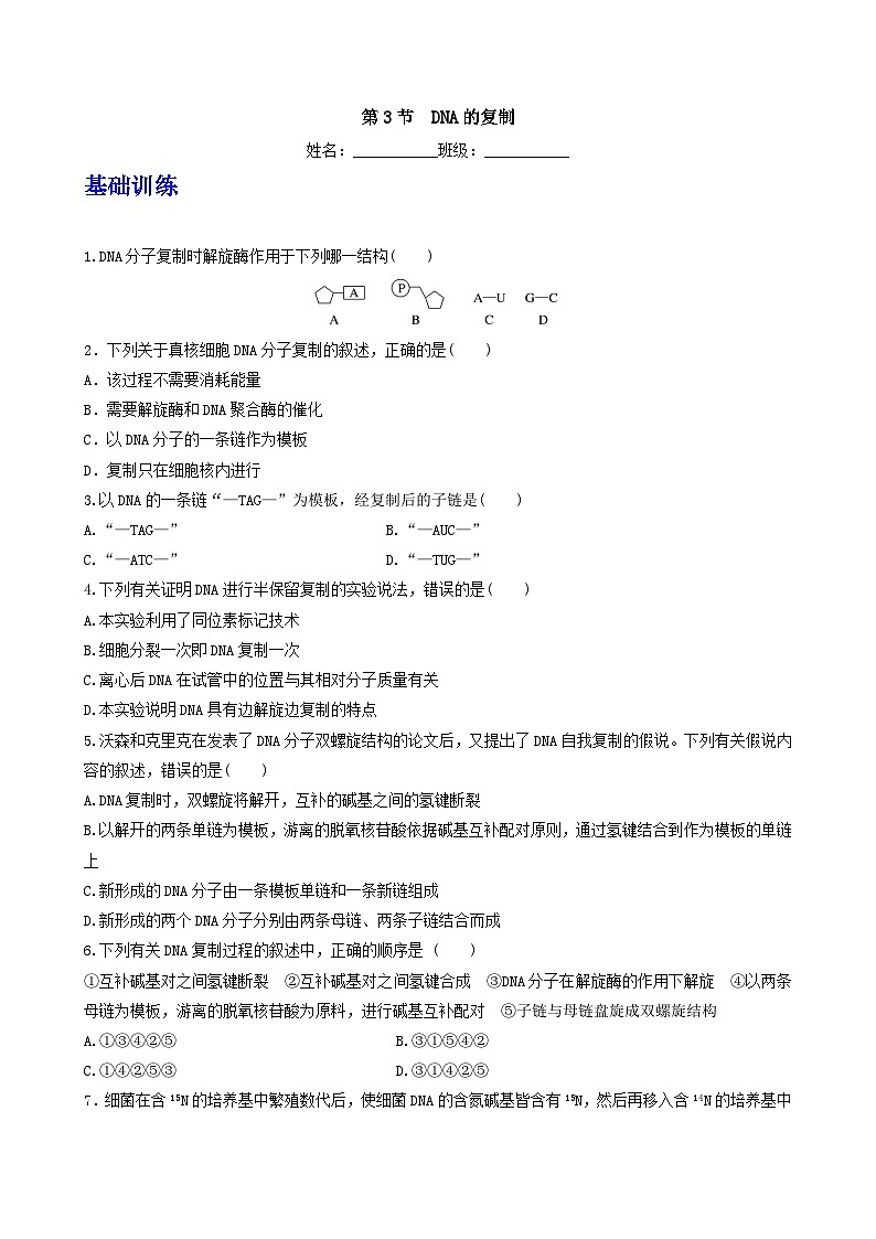 人教版高中生物必修二3.3《DNA的复制》(分层作业)(原卷版)第1页
