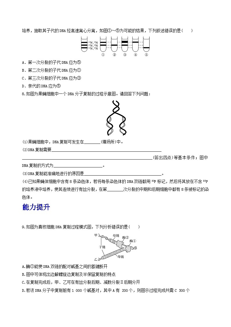 人教版高中生物必修二3.3《DNA的复制》(分层作业)(原卷版)第2页