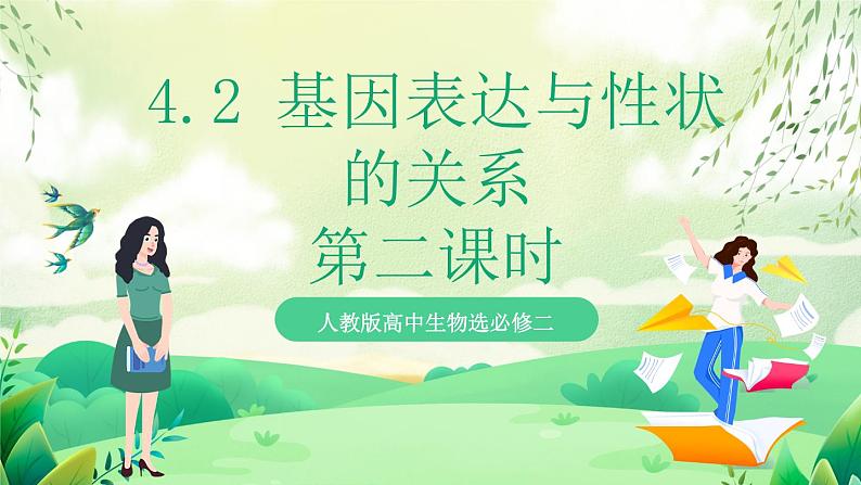 人教版高中生物必修二4.2《基因表达与性状的关系》(第2课时)(教学课件)第1页