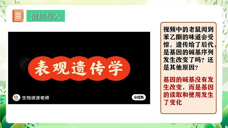 人教版高中生物必修二4.2《基因表达与性状的关系》(第2课时)(教学课件)第3页