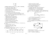 江苏省海安高级中学2024-2025学年高一上学期12月月考生物试题