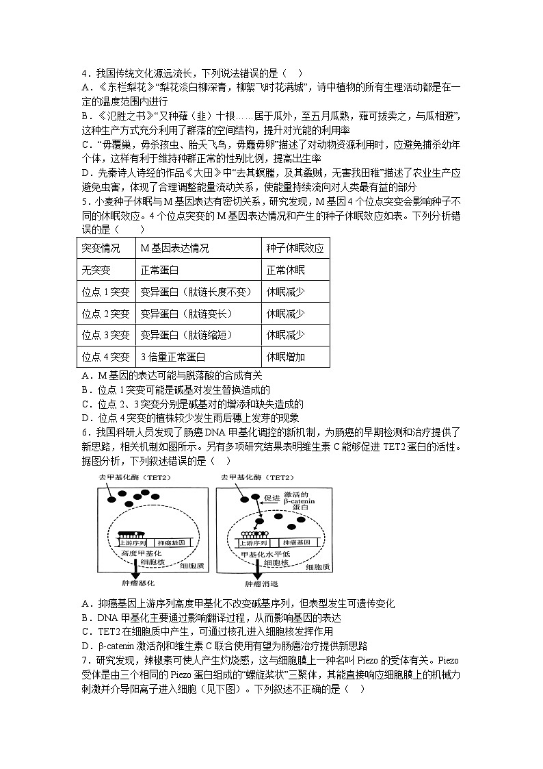 2025宜春丰城中学高三上学期12月创新班段考试题生物含答案第2页