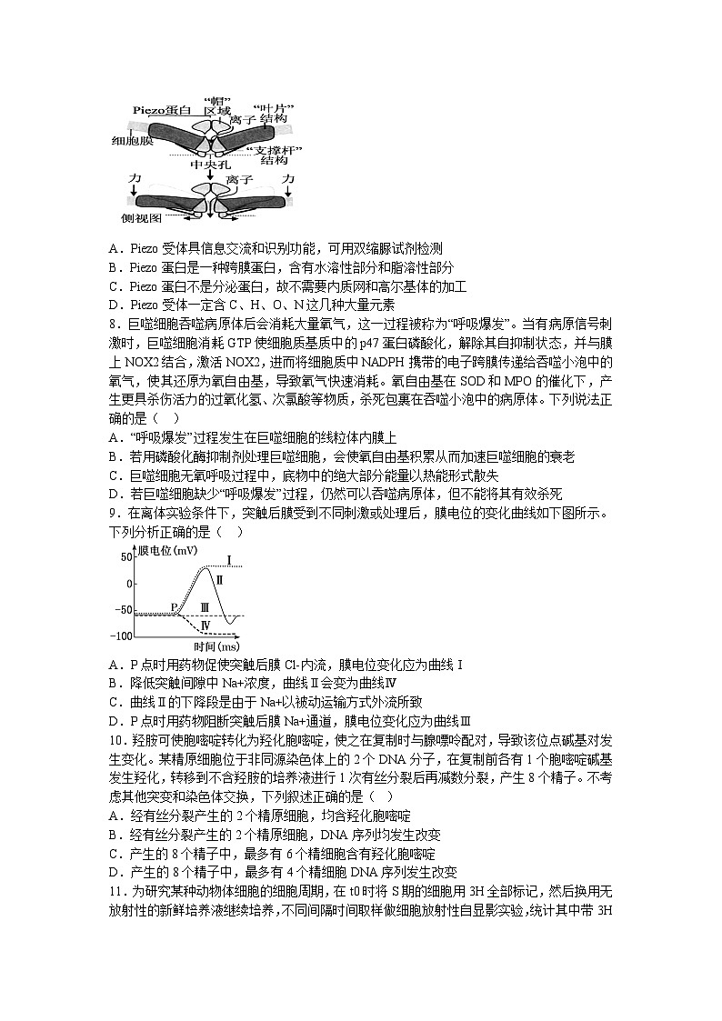 2025宜春丰城中学高三上学期12月创新班段考试题生物含答案第3页
