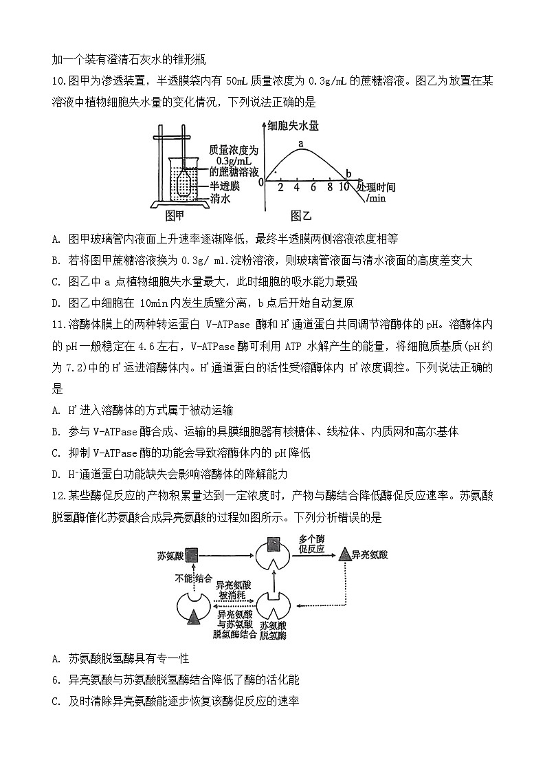 2025大連八中高一上學期12月月考試題生物含答案第3頁