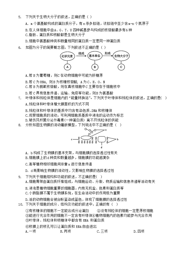 湖北省新高考联考协作体2024-2025学年高一上学期12月月考生物试卷(B卷)第2页
