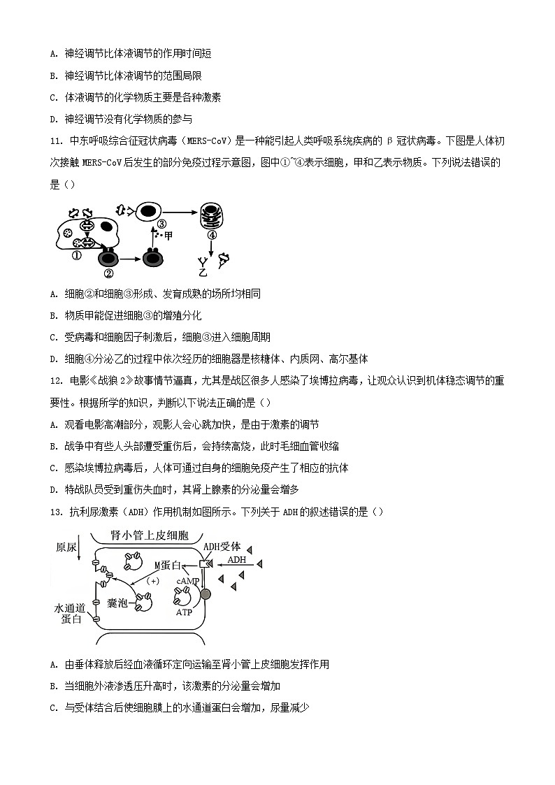 广东省清远市2023_2024学年高二生物上学期期中联考试题含解析第3页