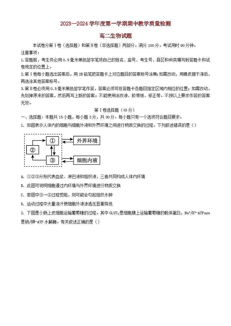 山东省聊城市2023_2024学年高二生物上学期11月期中试题含解析第1页