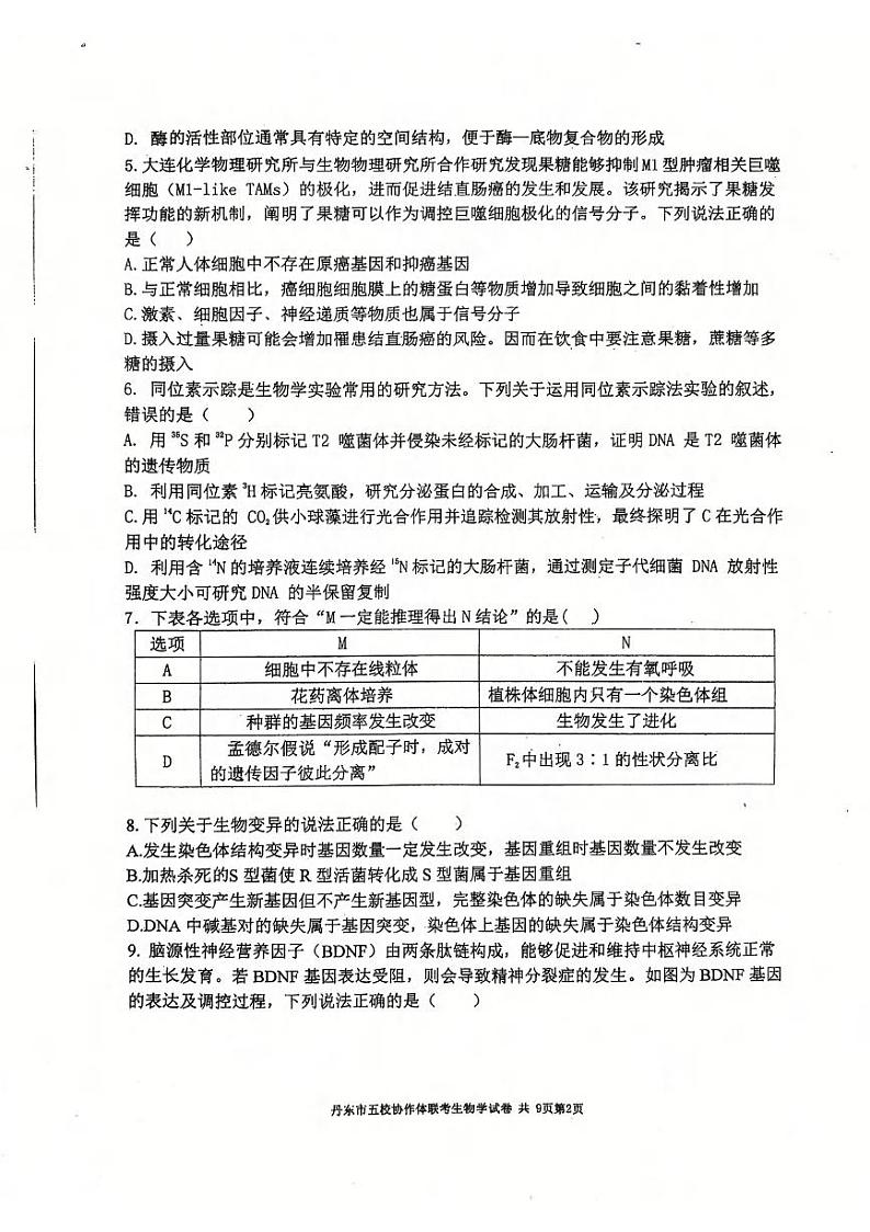 生物丨辽宁省丹东市五校协作体2025届高三上学期12月联考生物试卷及答案第2页