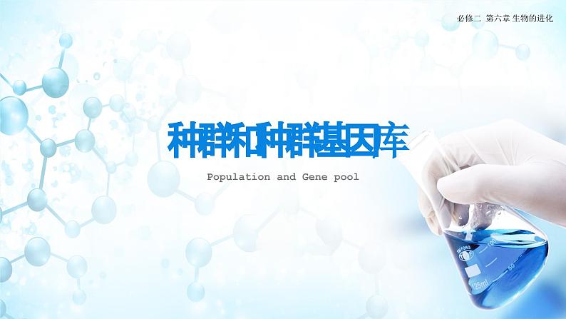 人教版(2019)高中生物必修二《遗传与进化》第6章生物的进化6.3.1《种群基因组成的变化》-课件第4页