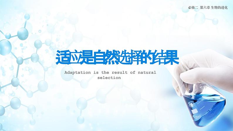 人教版(2019)高中生物必修二《遗传与进化》第6章生物的进化6.2《自然选择与适应的形成》-课件第8页