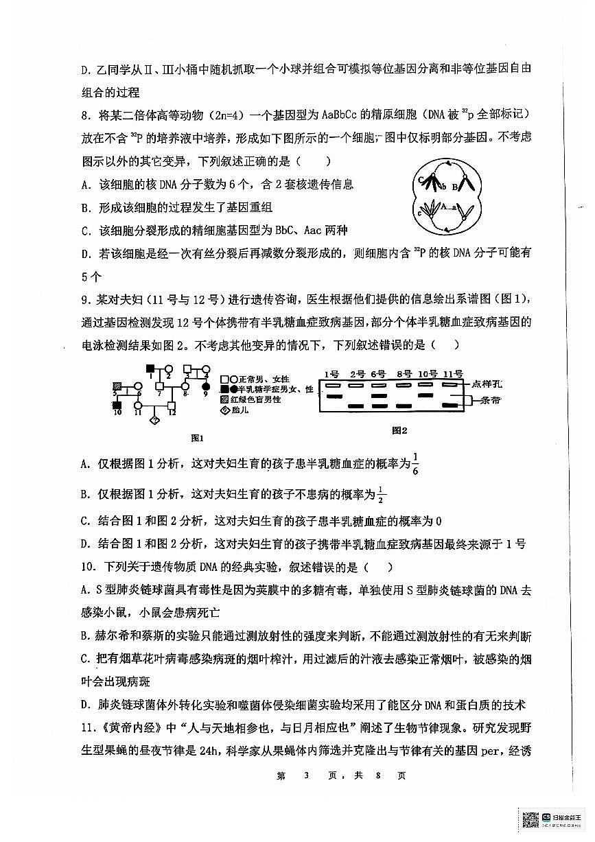 安徽省六安第二中學(xué)2024-2025學(xué)年高三上學(xué)期12月月考生物試題+答案第3頁(yè)