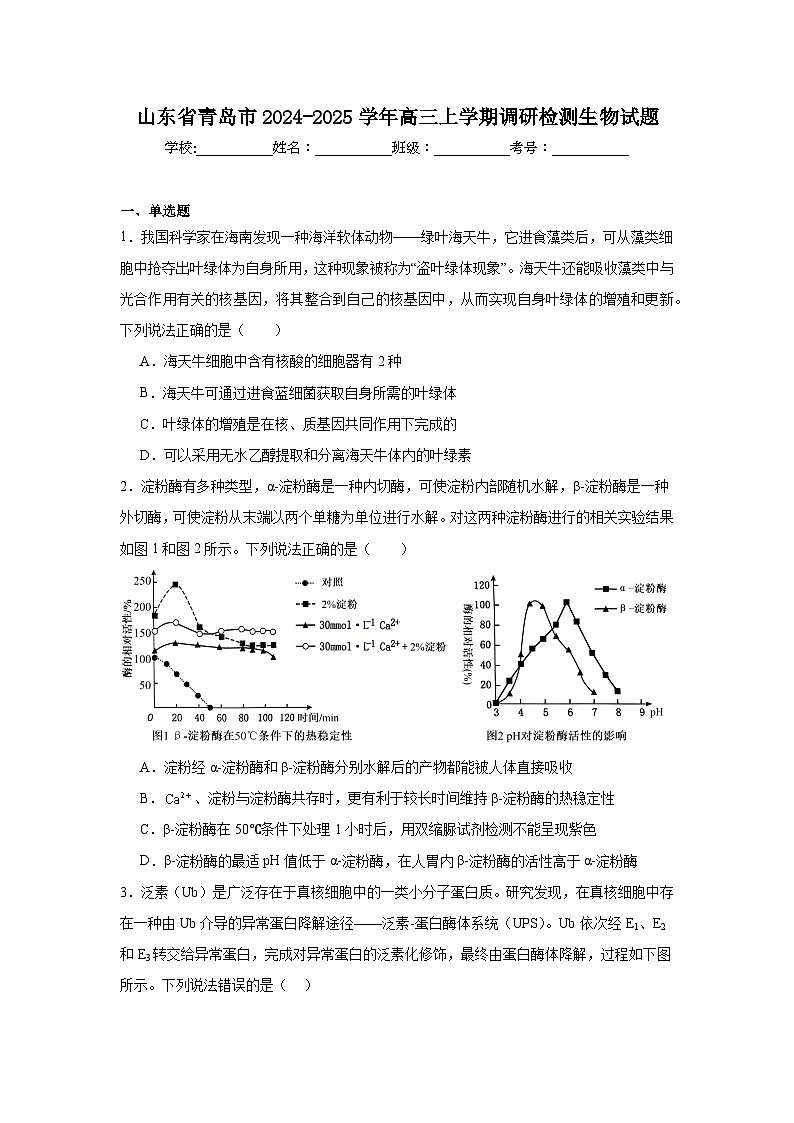 山东省青岛市2024-2025学年高三上学期调研检测生物试题第1页