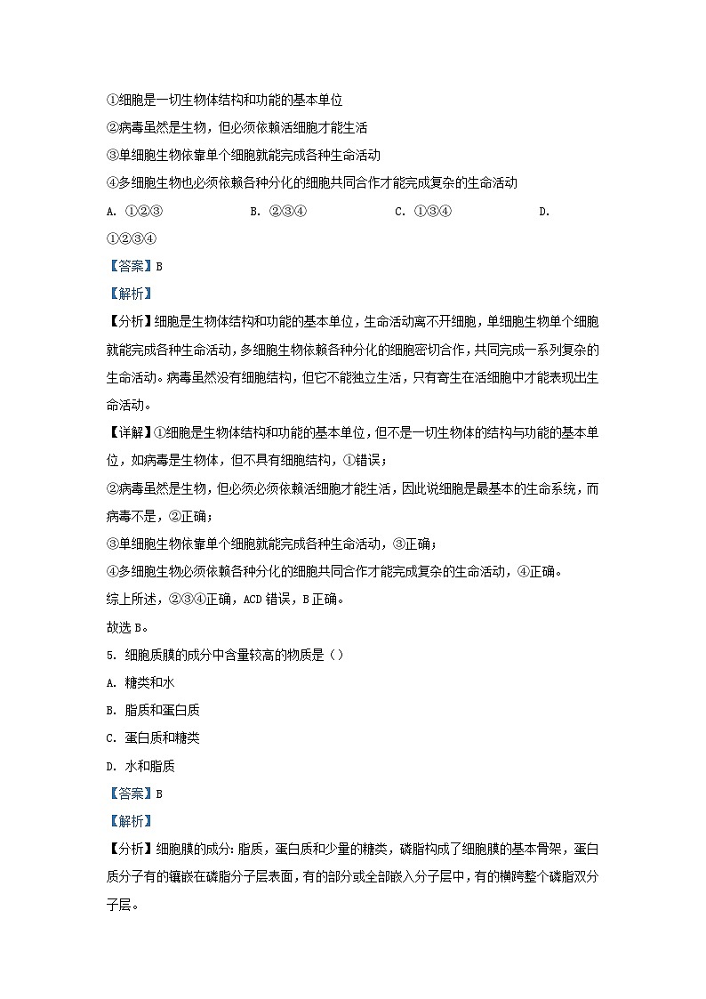 四川省宜宾市叙州区2023_2024学年高一生物上学期11月期中试题含解析第3页