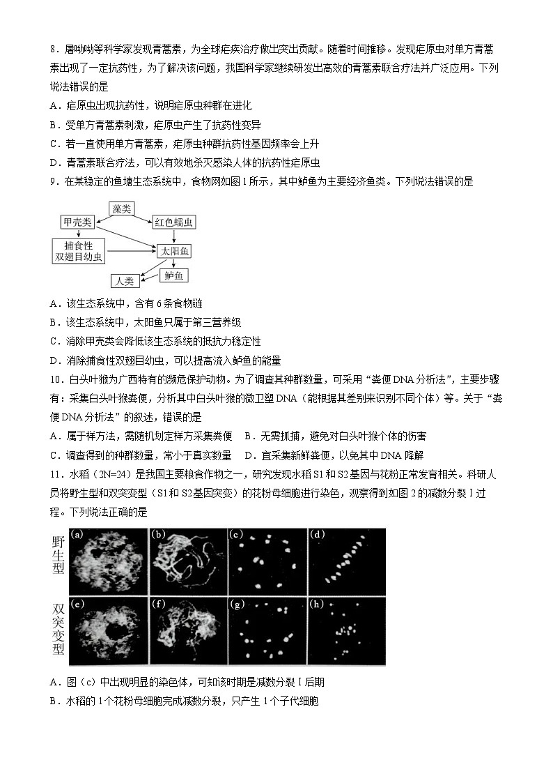 2024年新高考广西卷 广西生物高考真题试卷(含答案)第2页