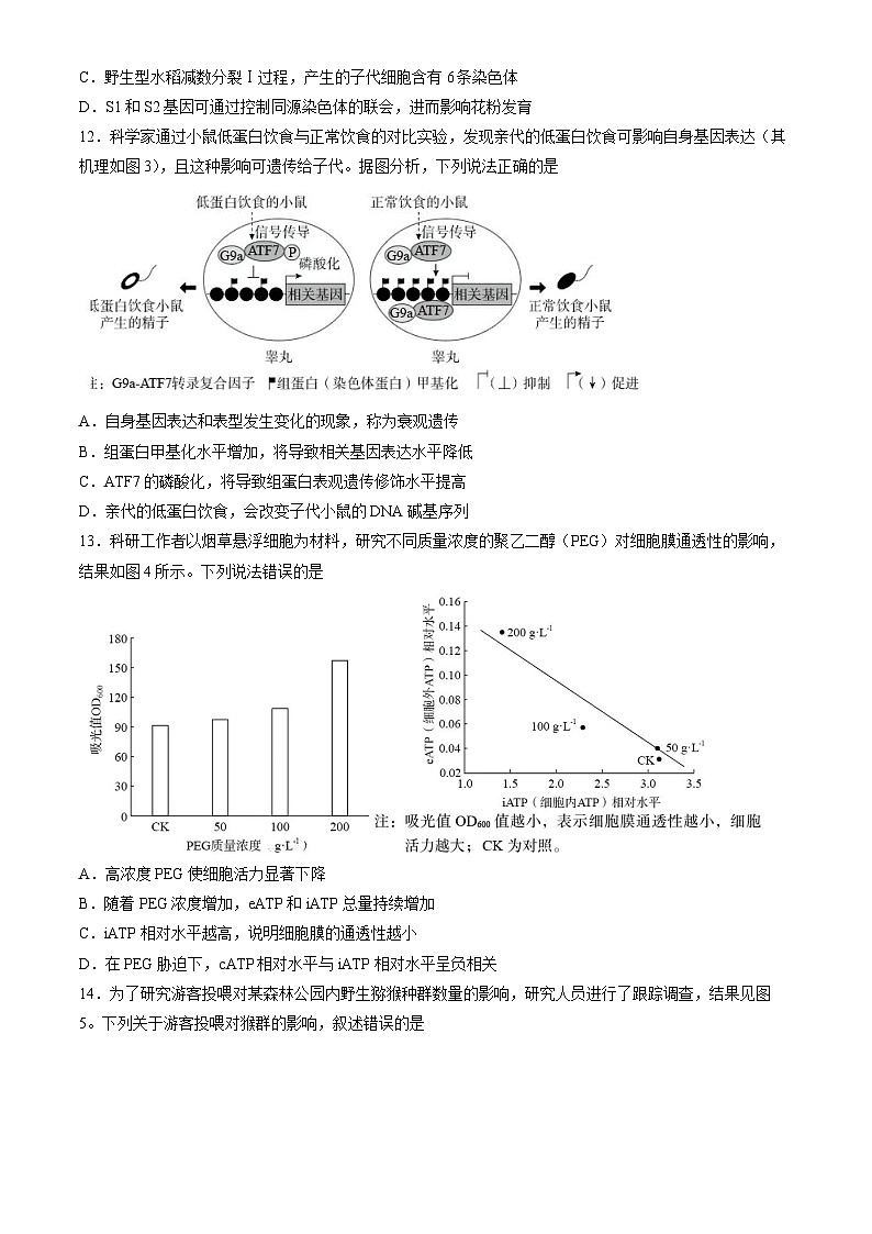 2024年新高考广西卷 广西生物高考真题试卷(含答案)第3页