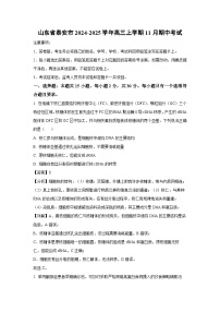 山東省泰安市2024-2025學(xué)年高三（上）11月期中生物試卷（解析版）