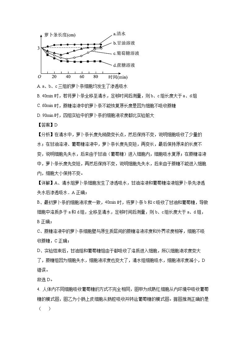 山东省泰安市2024-2025学年高三(上)11月期中生物试卷(解析版)第3页