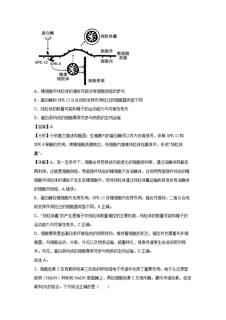 备战2025年高考生物模拟卷黄金卷05(山东专用)生物试卷(解析版)第2页