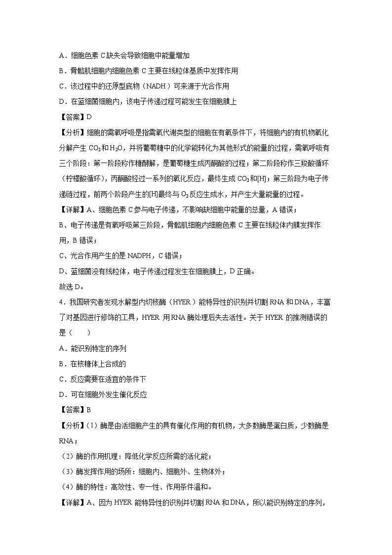 备战2025年高考生物模拟卷黄金卷05(山东专用)生物试卷(解析版)第3页