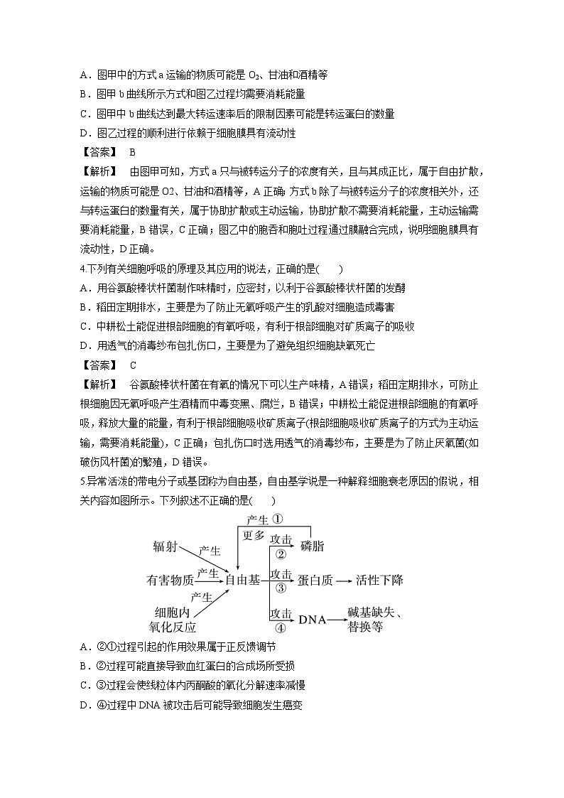 备战2025年高考生物模拟卷黄金卷01(新疆、西藏专用)生物试卷(解析版)第2页