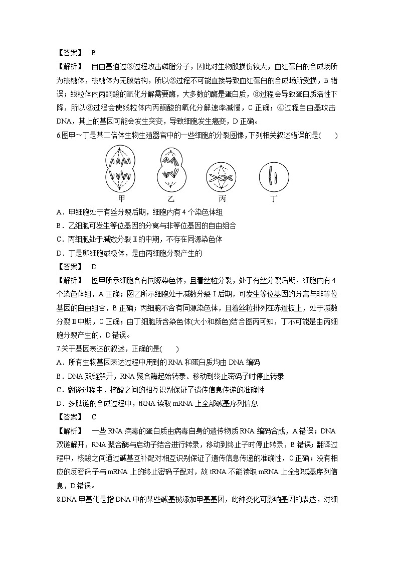 备战2025年高考生物模拟卷黄金卷01(新疆、西藏专用)生物试卷(解析版)第3页