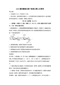 2025届安徽省江淮十校高三第二次联考生物试卷（解析版）