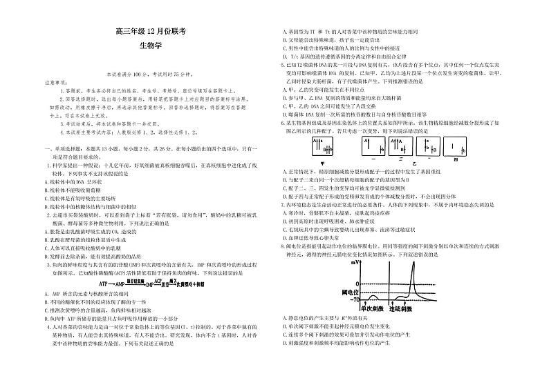 河北省保定市金太阳2025届高三上学期12月联考-生物试卷+答案第1页