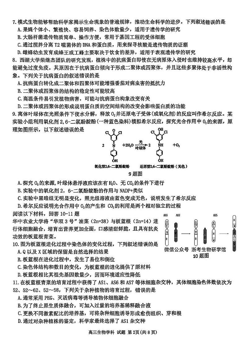 浙江省北斗星盟2024-2025学年高三上学期12月月考生物试卷及答案第2页