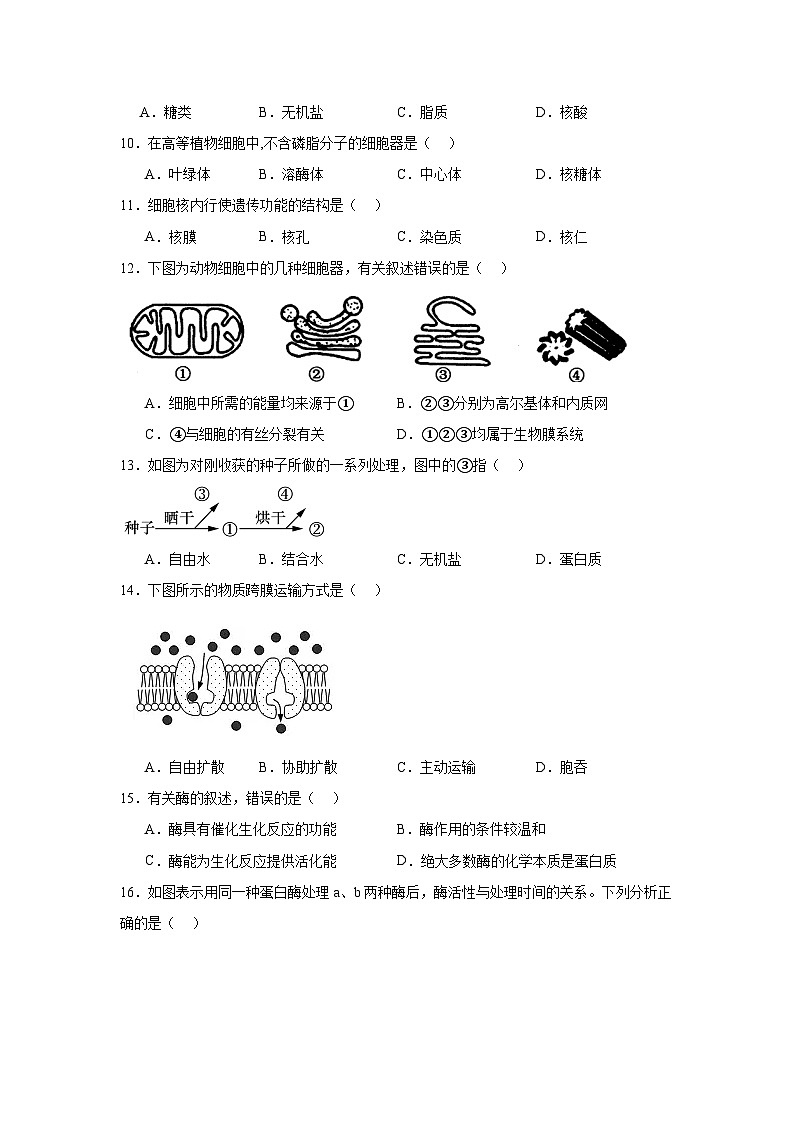 江苏省淮安市普通高中2024-2025学年高二上学期学业水平合格性考试模拟生物试题第2页
