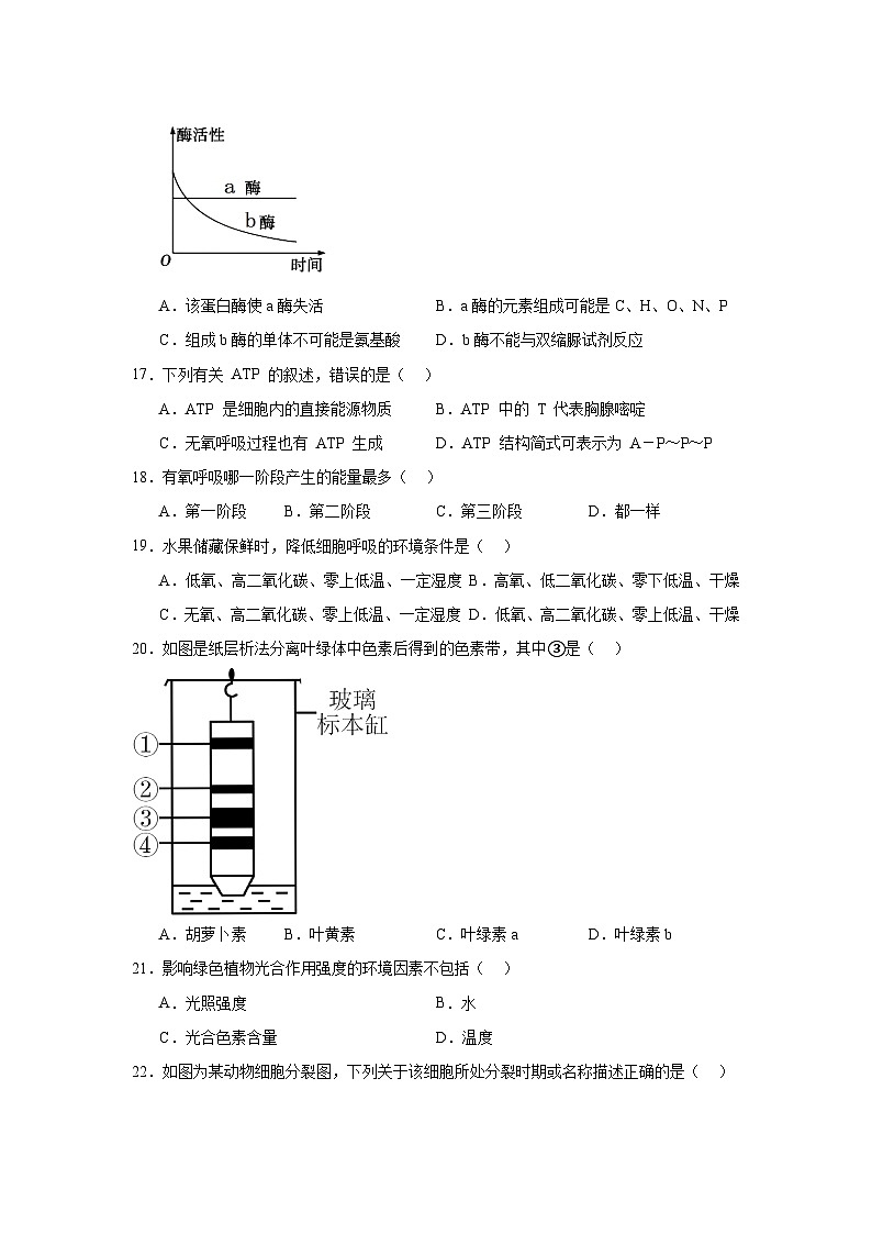 江苏省淮安市普通高中2024-2025学年高二上学期学业水平合格性考试模拟生物试题第3页