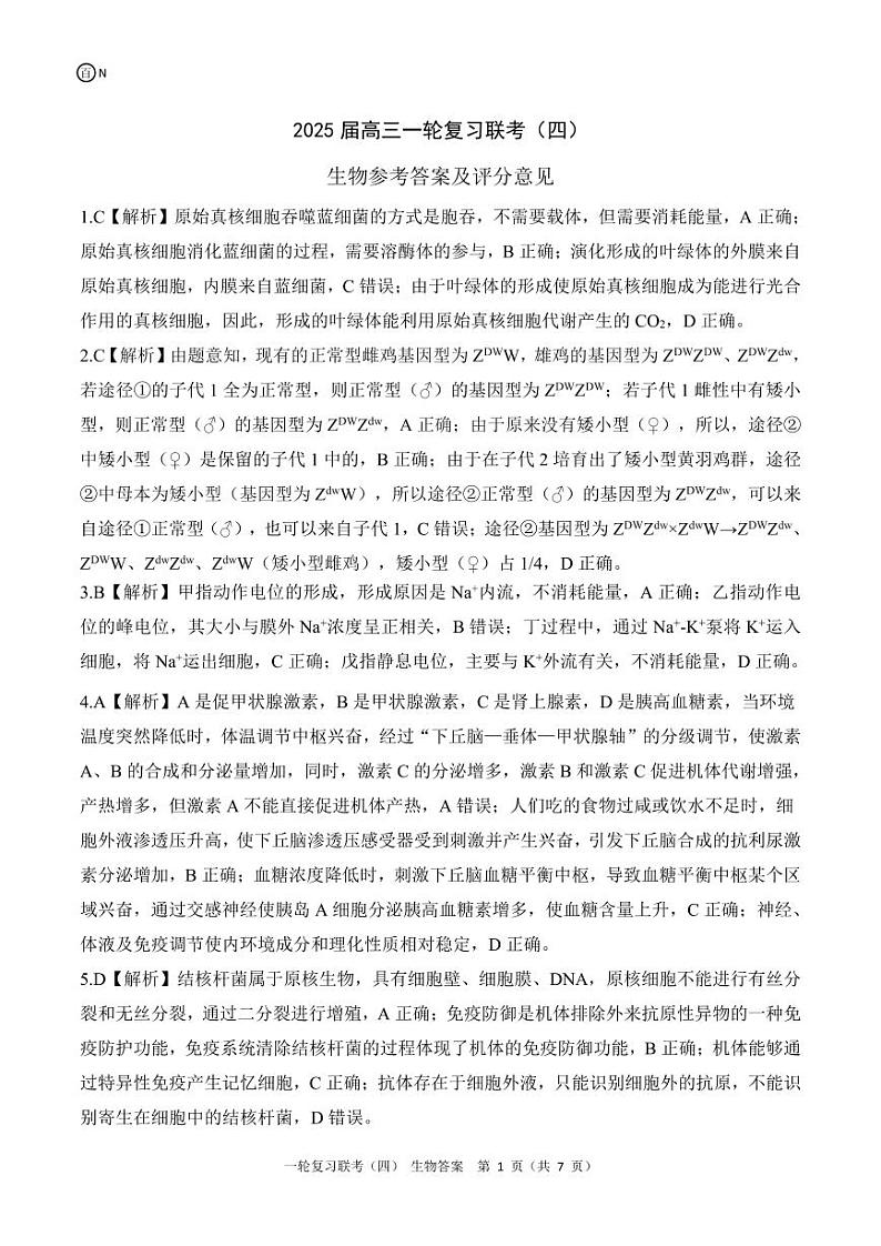百师联盟2025届高三一轮复习联考(四)生物答案(百N)第1页