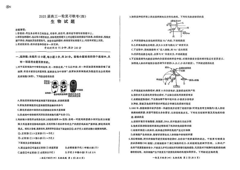 百师联盟2025届高三一轮复习联考(四)生物(百N)第1页
