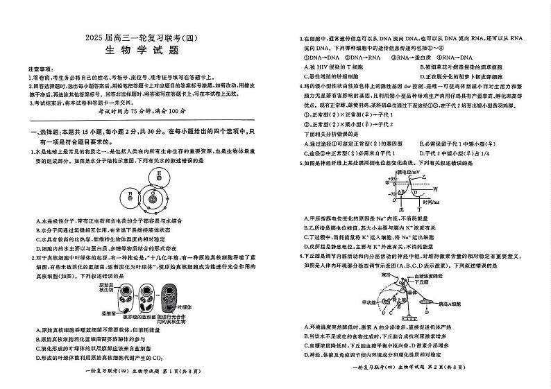 百师联盟2025届高三一轮复习联考(四)生物(百L)第1页