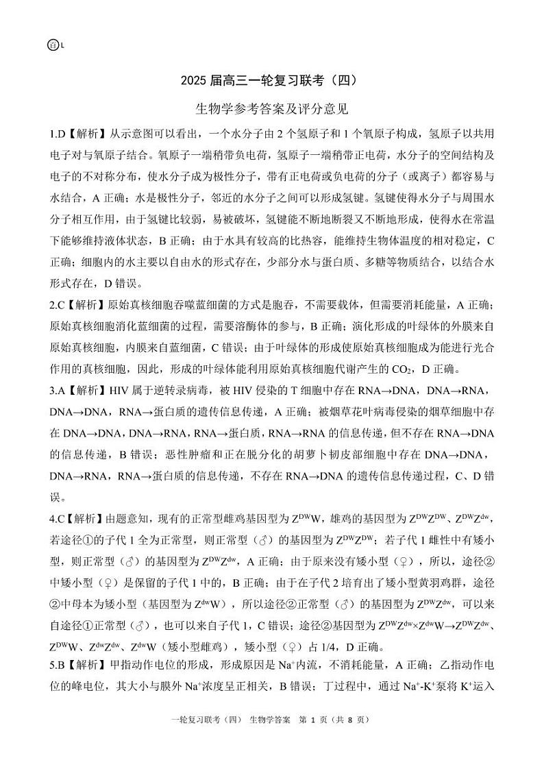 百师联盟2025届高三一轮复习联考(四)生物答案(百L)第1页