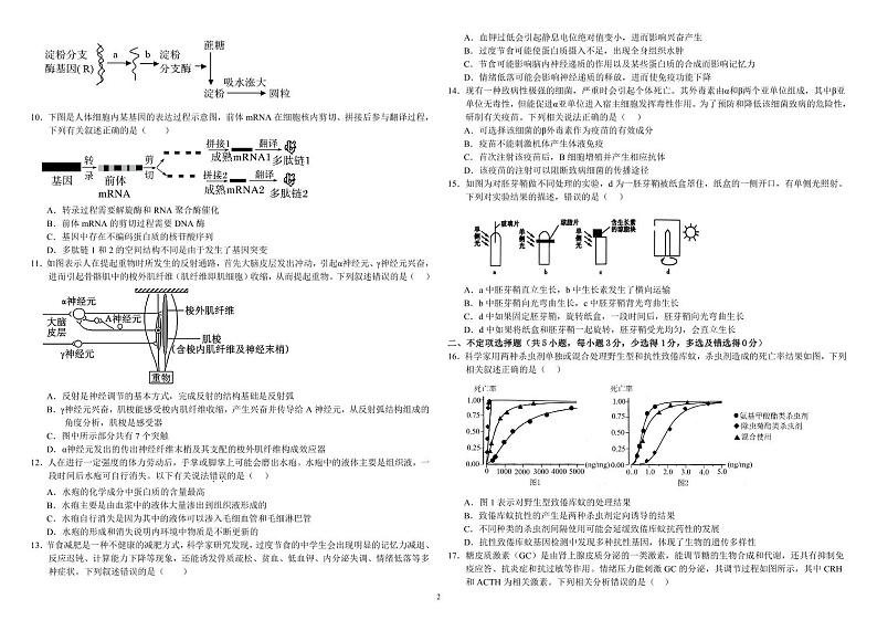 内蒙古自治区巴彦淖尔市第一中学2024-2025学年高三上学期12月月考生物第2页