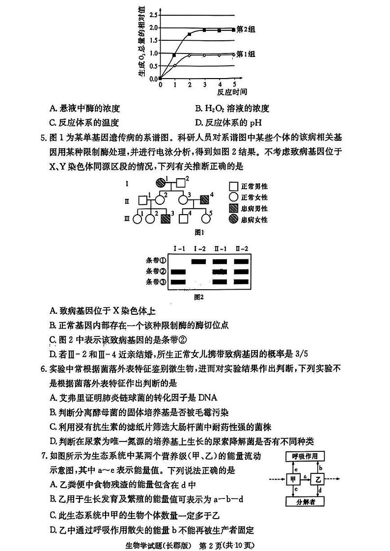 2025长沙长郡中学高三上学期月考卷(四)生物PDF版含解析第2页