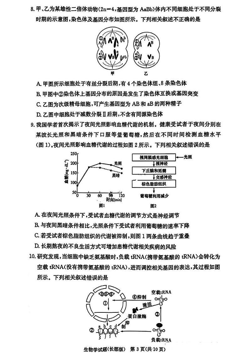 2025长沙长郡中学高三上学期月考卷(四)生物PDF版含解析第3页