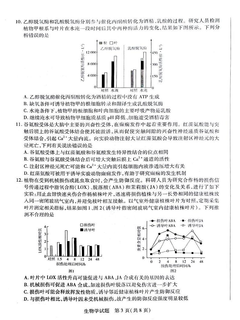 2025郴州高三上学期12月期末考试生物PDF版含解析第3页
