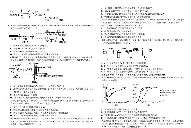 内蒙古自治区巴彦淖尔一中2025届高三上学期12月考-生物+答案第2页