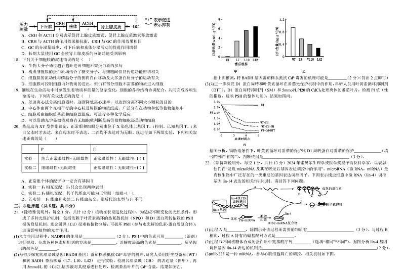 内蒙古自治区巴彦淖尔一中2025届高三上学期12月考-生物+答案第3页