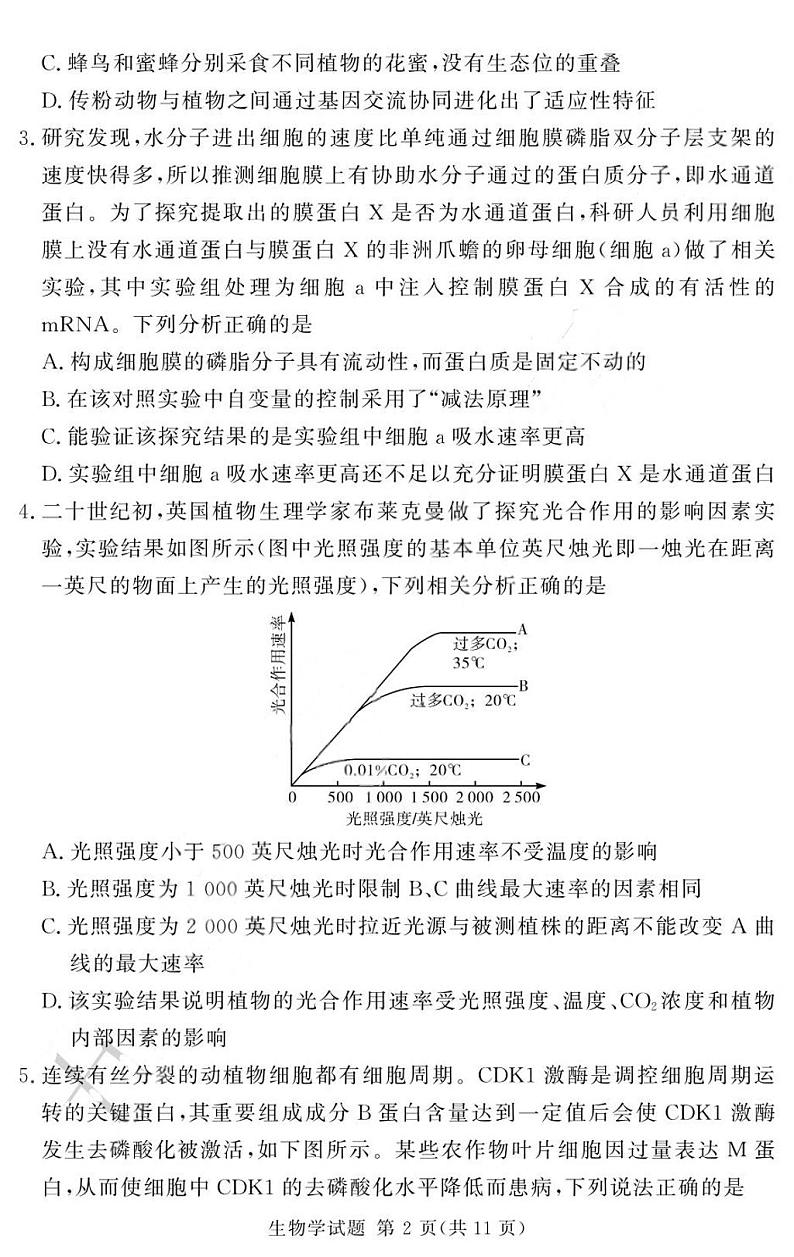 河南省湘豫名校联考2025届高三高考上学期第一轮复习-生物试卷+答案第2页