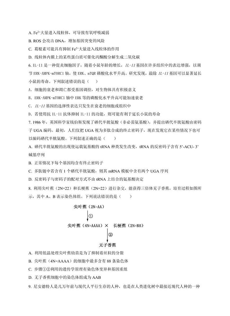湖南省浏阳市联盟校2025届高三上学期上学期12月联考-生物试题+答案第2页