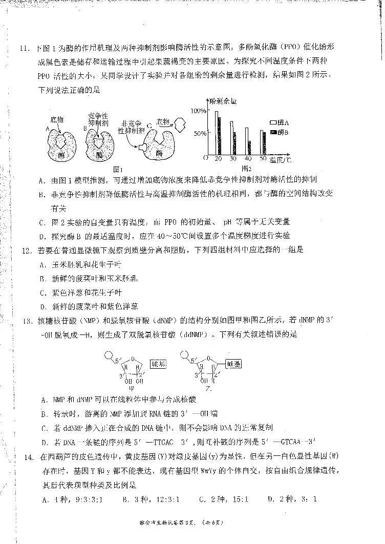 四川省雅安市22024-2025学年高三上学期11月“零诊”考试生物试卷第3页