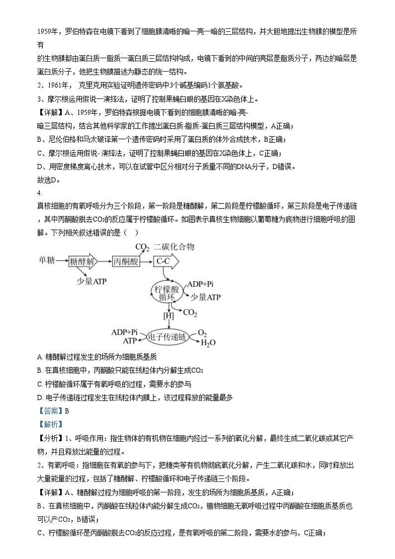 湖南省五市十校教研教改共同体2024-2025学年高三上学期12月月考生物试题(解析版)第3页