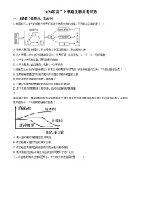 湖南省岳阳市岳阳县第一中学2024-2025学年高二上学期12月月考生物试题（Word版附解析）