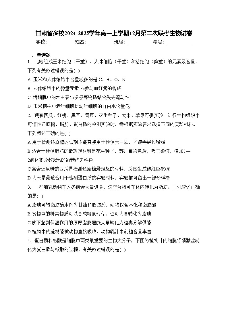 甘肃省多校2024-2025学年高一上学期12月第二次联考生物试卷(含答案)第1页