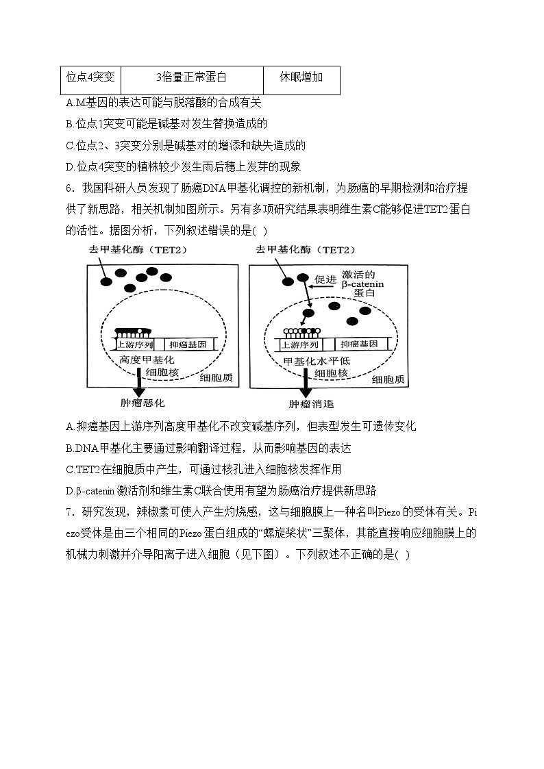江西省丰城中学2025届高三上学期12月段考(创新班)生物试卷(含答案)第3页