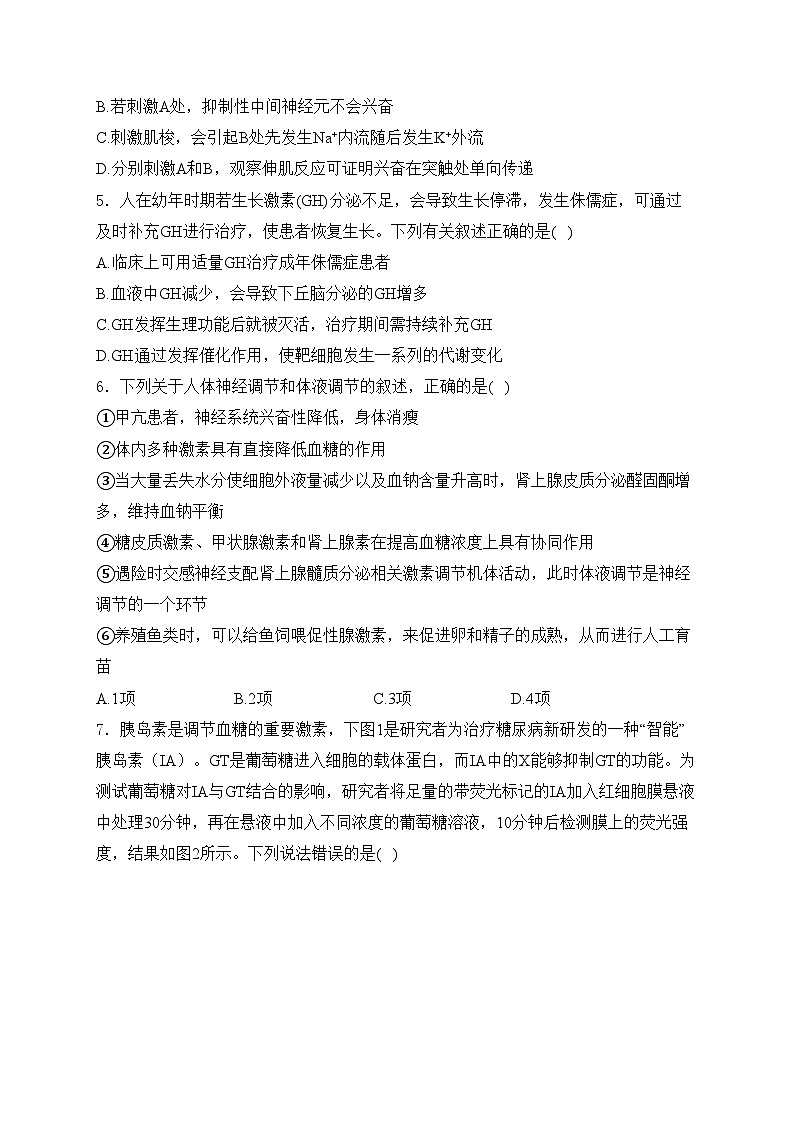 沈阳市第一二0中学2024-2025学年高二上学期第三次质量监测生物试卷(含答案)第2页