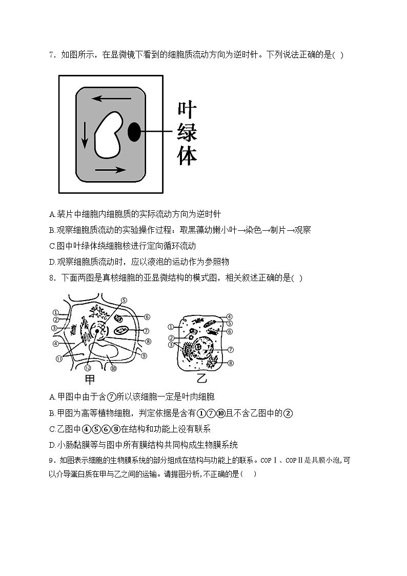 项城市第一高级中学2024-2025学年高一上学期考后回头练(12月)生物试卷(含答案)第3页
